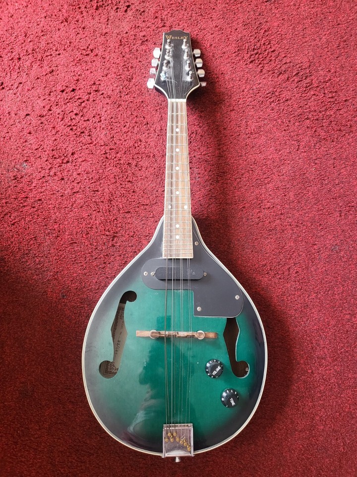 Electric Violin &Electric Mandolin eBay
