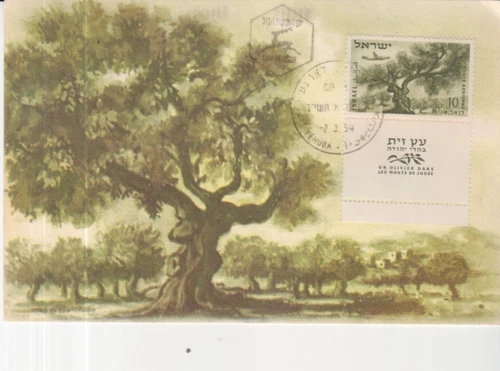 011 - Israel 1954 Aimail 10 Hari Jerusalem  Maxim card FDC