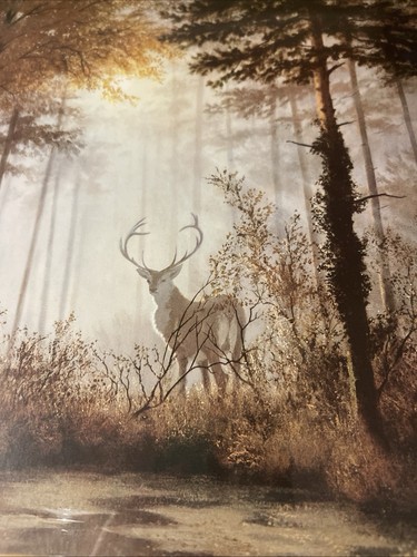 G. Coulson "Quiet Forest" Signed Framed Art Deer Outdoors Print Framed Matted - Picture 3 of 15
