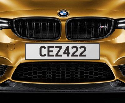 CESAR CEZAR CEZARY CESARE CHERISHED NUMBER DATELESS PRIVATE PLATES PLATE CEZ 422