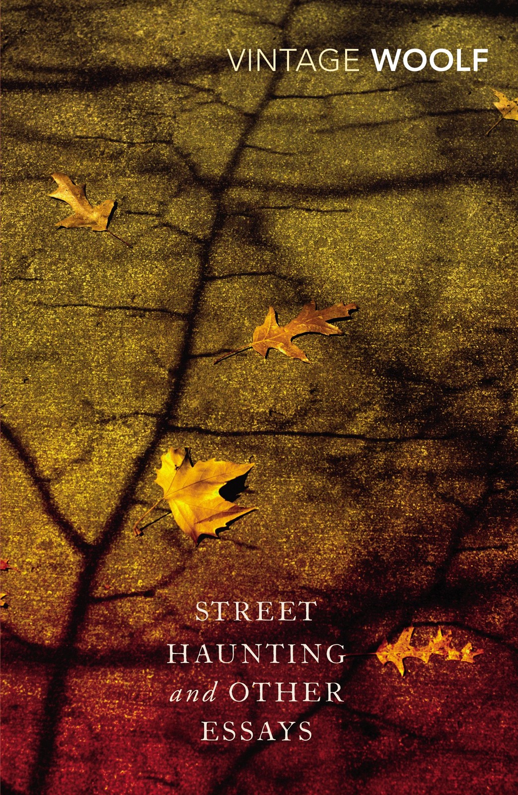 Street Haunting and Other Essays by Virginia Woolf, Stuart N.... - - Image 5