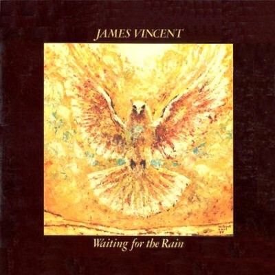 James Vincent - Waiting For The Rain (LP) (Very Good Plus (VG+)) - 4057580689