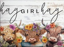 Diamond Art Kits for Adults Beginner, Highland Cow DIY Modern Diamond Paintin...