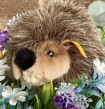 STEIFF ORIGINAL Soft Cute Plush JOGGI IGEL HEDGEHOG 1985 Ean 1675/12 6 CUTE