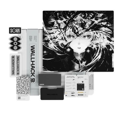 ［新品未開封］WALLHACK SP005 Awakening Sora Wallhack SP-005 Limited Edition: Awakening Sora | Glass Anime