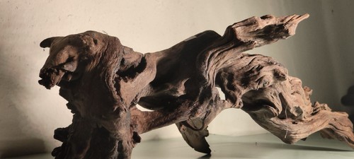 legno acquario - Foto 3 di 6