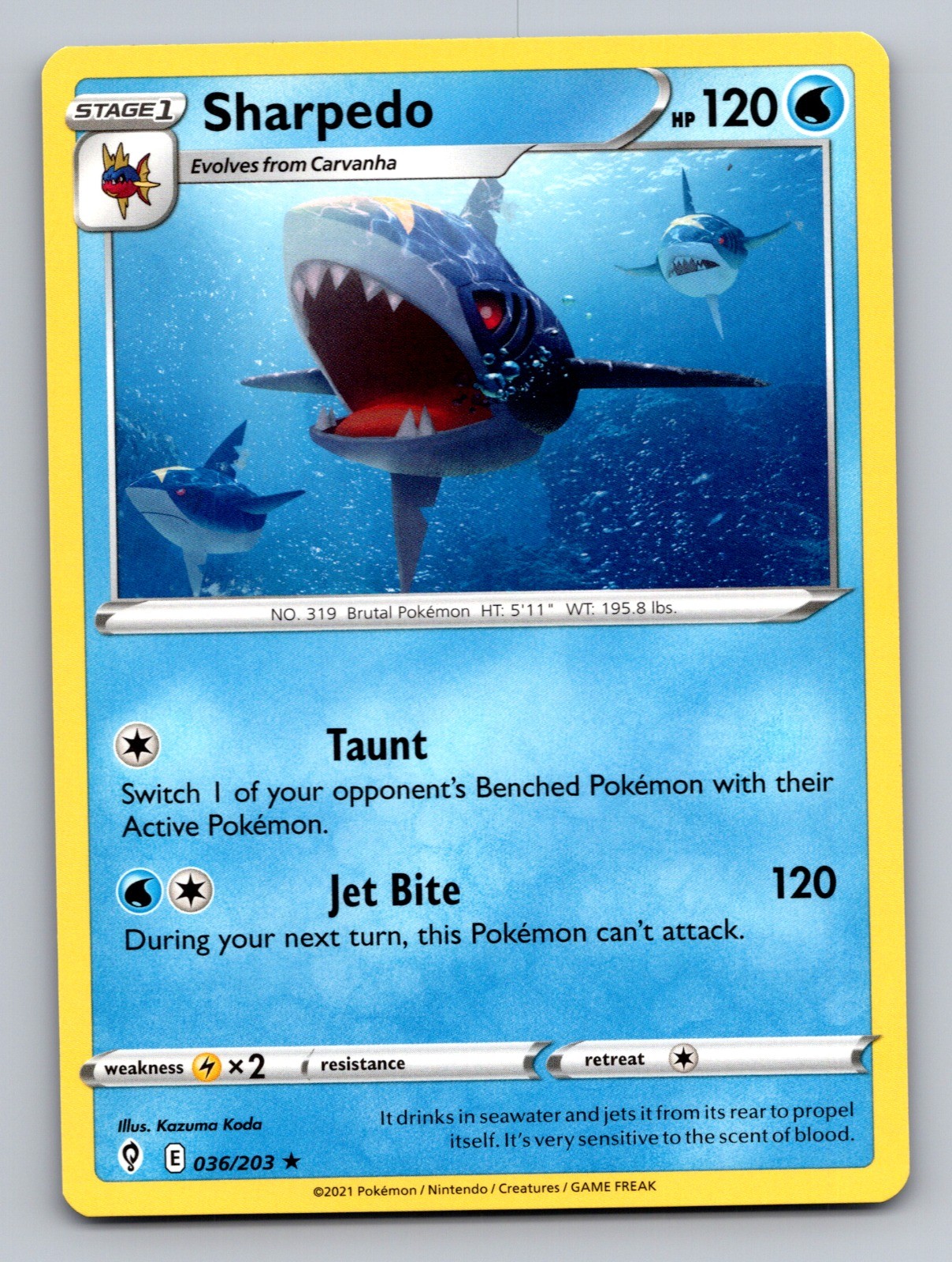 Sharpedo Rare SWSH07: Evolving Skies 036/203 LP-NM