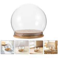 2 Pcs Glass Bell Jar Cloche with Wood Base Display Dome Transparent