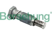 Borsehung B1T012 Spanner, Steuerkette FüR Audi Seat Skoda VW