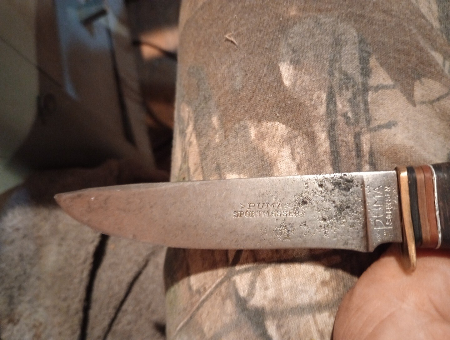 Antique Buck Knife eBay