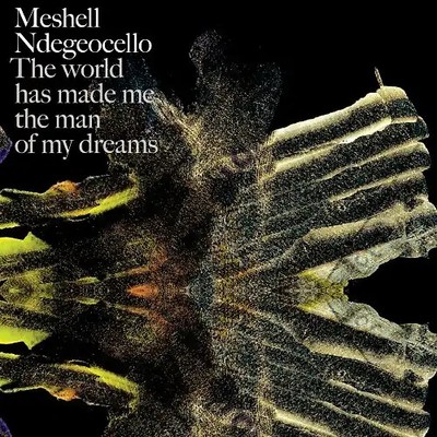 Meshell Ndegeocello - The World Has Made Me the Man of My Dreams (Limited Editio
