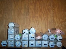 Chacott Coppelia ll Pointe dance ballet Shoes salmon