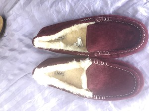 maroon uggs