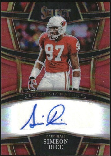 ザロック The Rock 22 PANINI SELECT WWE zebra The Rock 2022 Panini Select WWE Zebra Case Hit SSP Premier Level