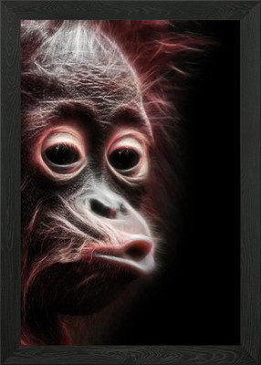 Monkey Fun Gerahmtes Wandbild Poster Leinwanddruck Bild