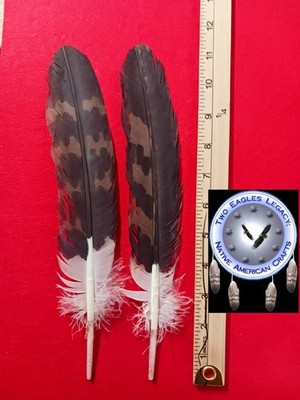 Native American Eagle Feathers Tail Imitation Golden Powwow Regalia Authentic