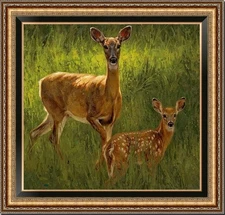 Handmade Oil Painting Animal sika deer on canvas 24"x24"