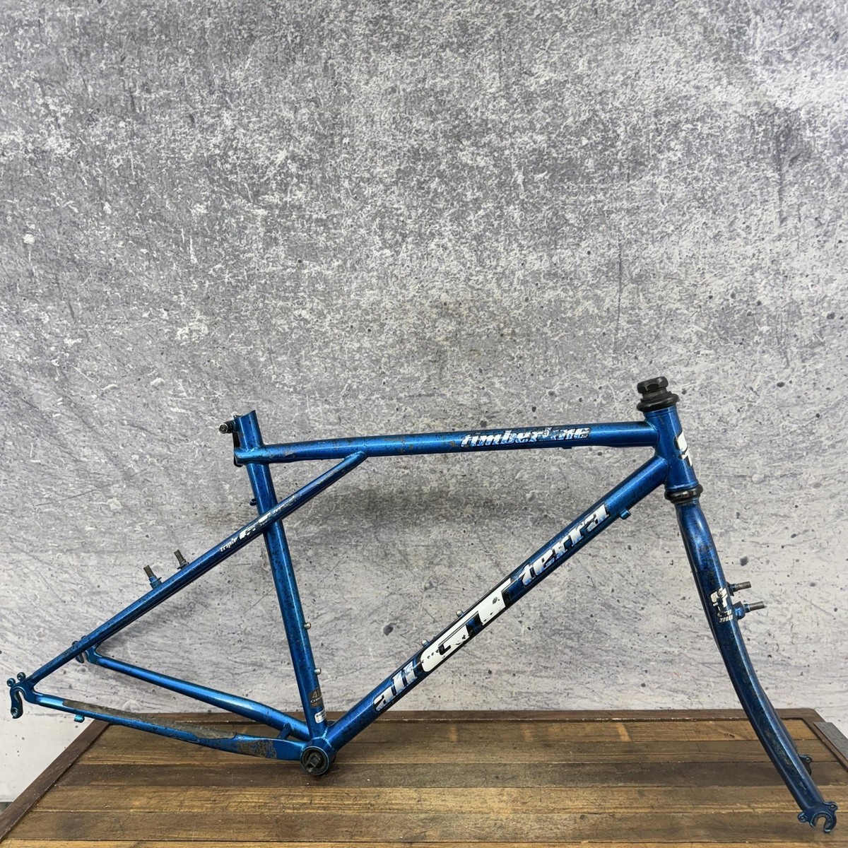 Vintage GT Timberline MTB Frame 19in Blue Triple Triangle CRMO