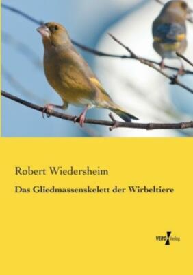 Das Gliedmassenskelett Der Wirbeltiere
