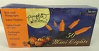 Pumpkin Hollow Indoor/Outdoor 50 Orange Halloween Lights - 14.5' Cord Length
