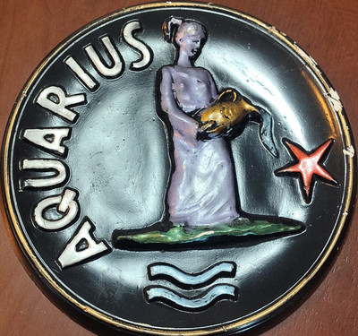 Aquarius Astrology Metal Painted Round Hanging Wall Plaque
