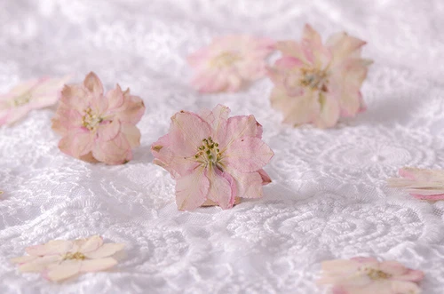 Dried Pressed Flowers Natural Epoxy Resin Candle Nail Art Scrapbooking Craft AU - Picture 101 of 210