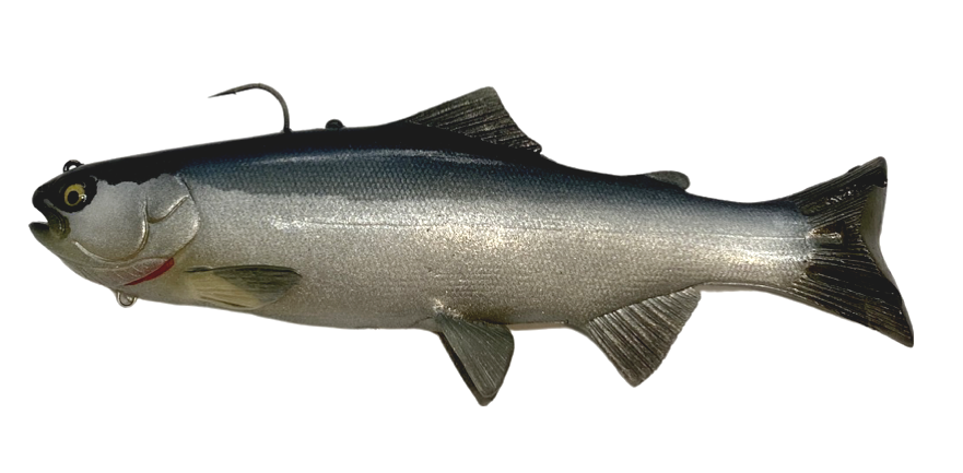 s-l1200.png