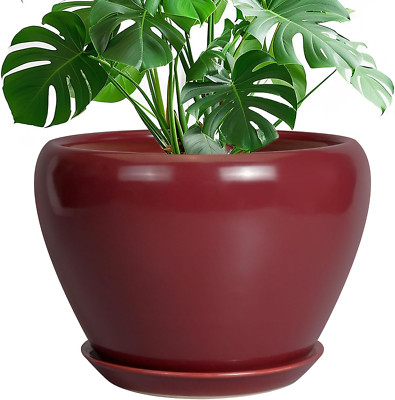 10'' Red Ceramic Plant Pot with Drainage & Saucer for Indoor/Outdoor Decor
