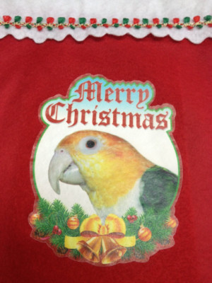 SALE!  White Bellied Caique Parrot Exotic Bird Holiday Christmas Stockings