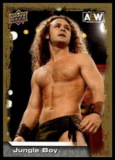 2022 Upper Deck AEW Jungle Boy #20 Gold