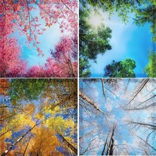 VIHOSE 4 Pack Fluorescent Light Covers Magnetic for Ceiling Lights Multicolor