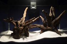 Aquarium Wurzel - SET / Scaperholz Slim Wood / Aquarium Deko / Aquascaping #333