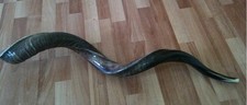 Shofar Kudu Yemenite HORN 43-44" 112 Cm Kosher Half Natural Polish Chofar