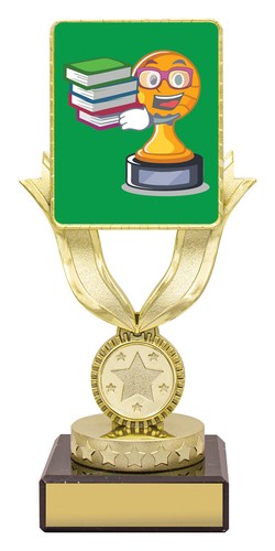 PERSONALISED TROPHY AWARD LINX DASH ACADEMIC CHARACTER YOUR LASER ENGRAVING - Bild 12 von 22