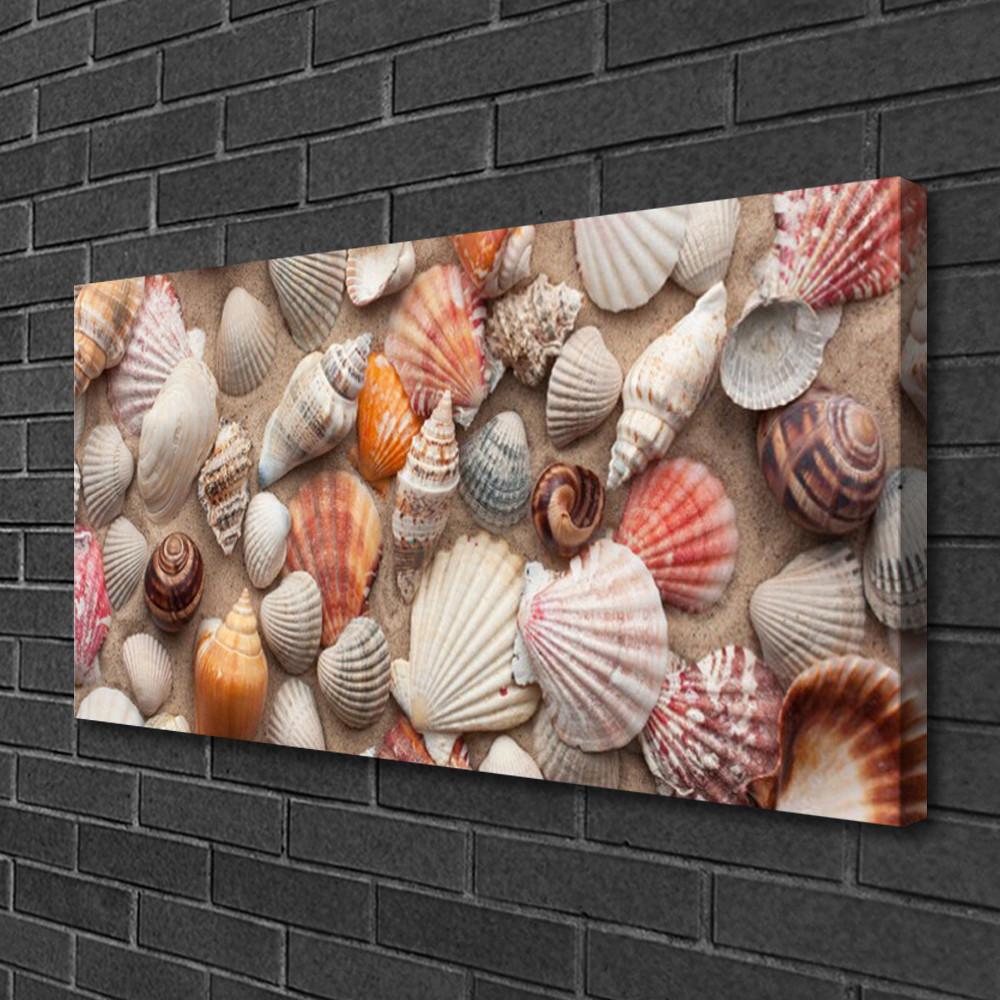 Image sur toile d'art coquillages 100x50 cm avec finitions galerie haut de gamme