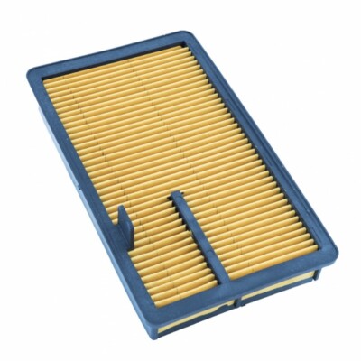 FRAM CA10286 Filtro Aria Auto Extra Guardia - Pannello Rettangolare Per Veicoli Suzuki