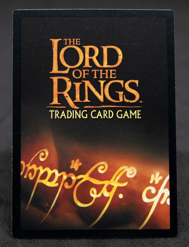 ELVEN CLOAK Foil Common 2001 LOTR The Fellowship of the Ring 1C42 - Imagen 2 de 2