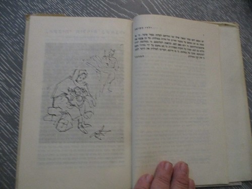 The Holocaust children, E. Yerushalmi, h/c, 148p, 1st Hebrew edit., Israel, 1961 - Picture 7 of 14