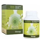 PharmaQ MastihaTherapy Natural Chios Mastiha 350mg 90 Capsules Original