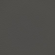 BMW Titanium Leather Dye