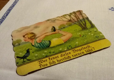 alte Oblaten Glanzbilder Konvolut,Mädchen mit Spruch schön sehr alt ,Blumen