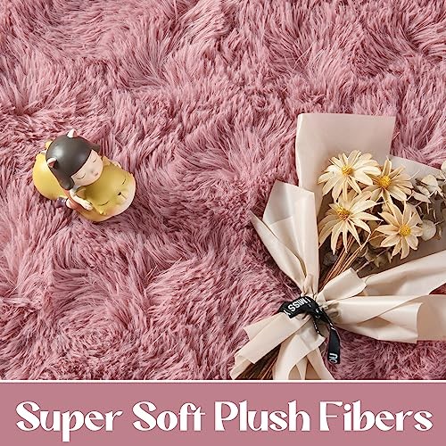  Blush Area Rug for Bedroom Living Room Carpet Home Decor, Upgraded 4x5.9 Cute 