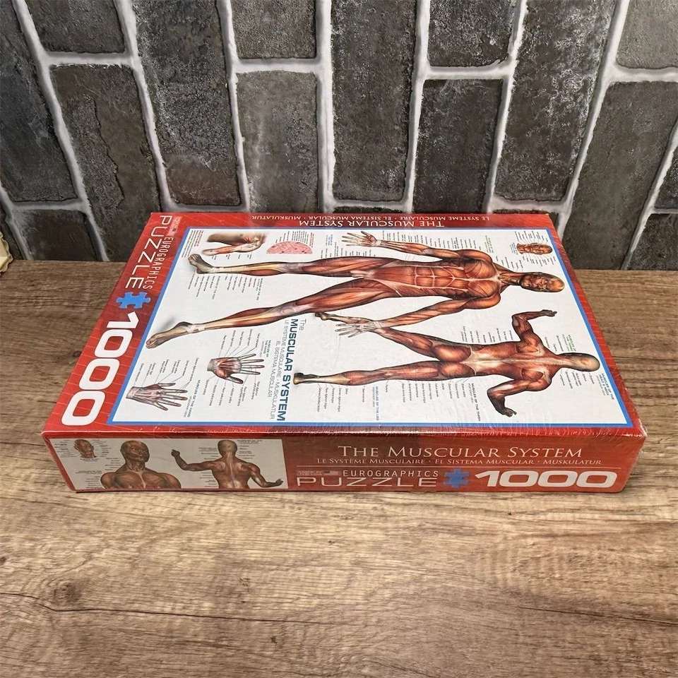 EuroGraphics The Muscular System 1000-Piece Puzzle Strategy Theme - Image 4 of 4
