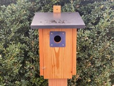 Meisen Nistkasten Lärchen-Holz Specht Schutz für Kohl-Blaumeisen,  Nachhaltig