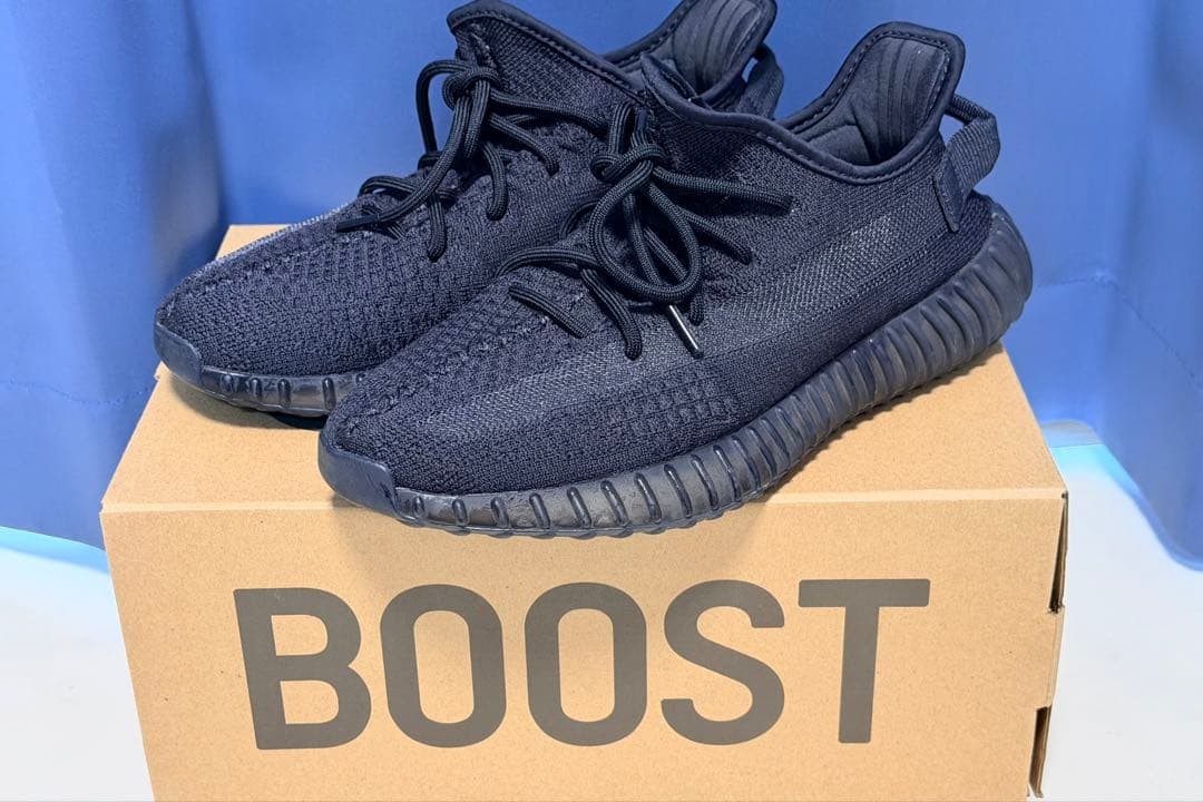 adidas YEEZY BOOST 350 V2 Onyx Sneakers  Unworn