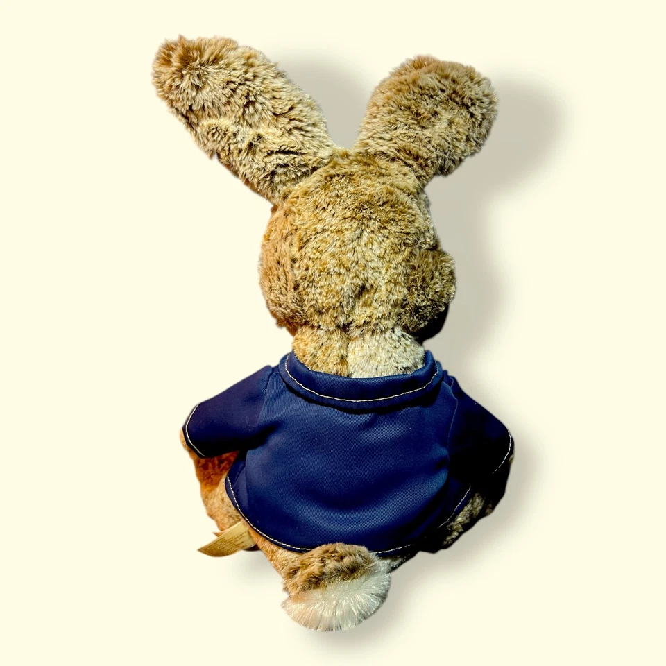 Peter Rabbit Dan Dee Collector's Choice 10" Plush 2022 Stuffed Animal Bunny - Image 2 of 4