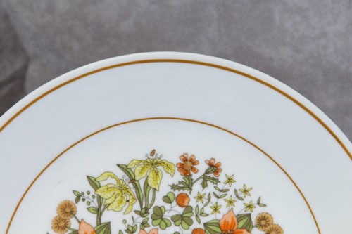 Corelle Indian Summer Luncheon Plates 8-1/2" Lot of 11 - Picture 6 of 9