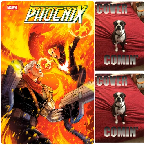 PHOENIX #13 **COVER SELECT** OPEN [1:25] FORBES PRESALE 07/23/25