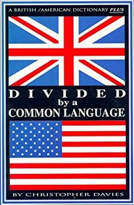Divided by a Common Language : A British/American Dictionary Plus