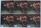 SIGNED TAYLOR SWIFT LIFE OF A SHOWGIRL PHOTOGRAPH #2 & CD PSA DNA COA AUTOGRAPH